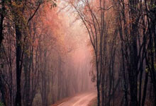 2025年中国国际雪地排球邀请赛开赛.