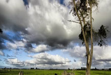 AG米兰体育：18强赛后续赛程：国明年3月连战沙特澳大利亚.