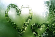 10年詹姆斯MVP含金量有多高？看看MVP榜，科比场均27+5+5排第三.