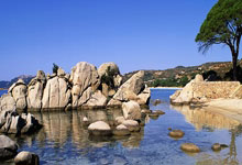 2023环广西公路自行车世界巡回赛 顶尖车手决战桂林“最美赛道”央视新闻客户端.